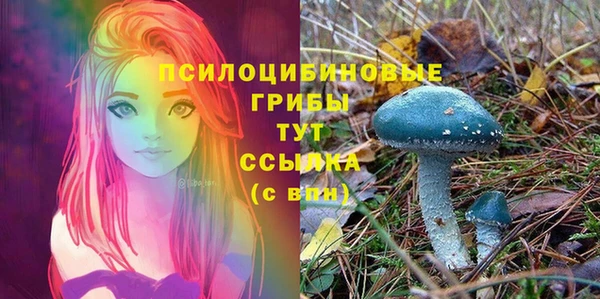 кокс Осинники