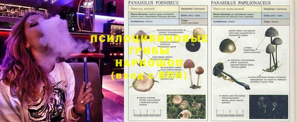 кокс Осинники