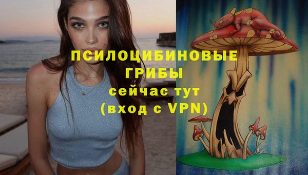 ALPHA PVP Нягань