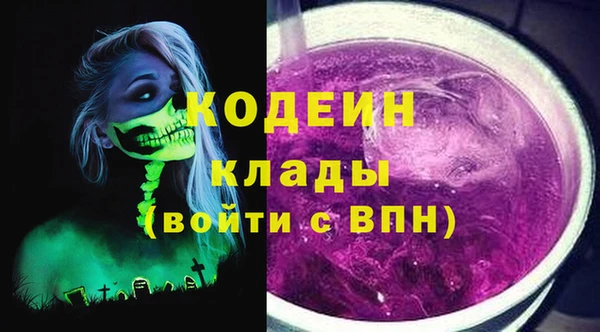 стафф Ельня