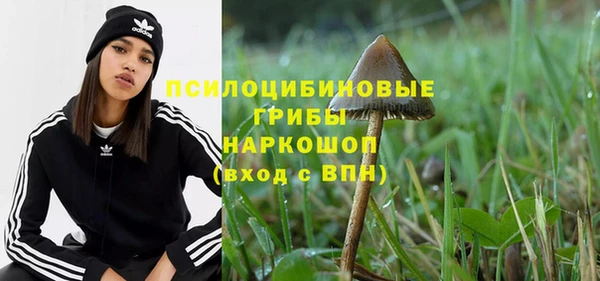 ALPHA PVP Нягань