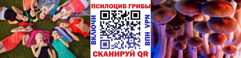 Галлюциногенные грибы ЛСД купить наркотики сайты Котельниково